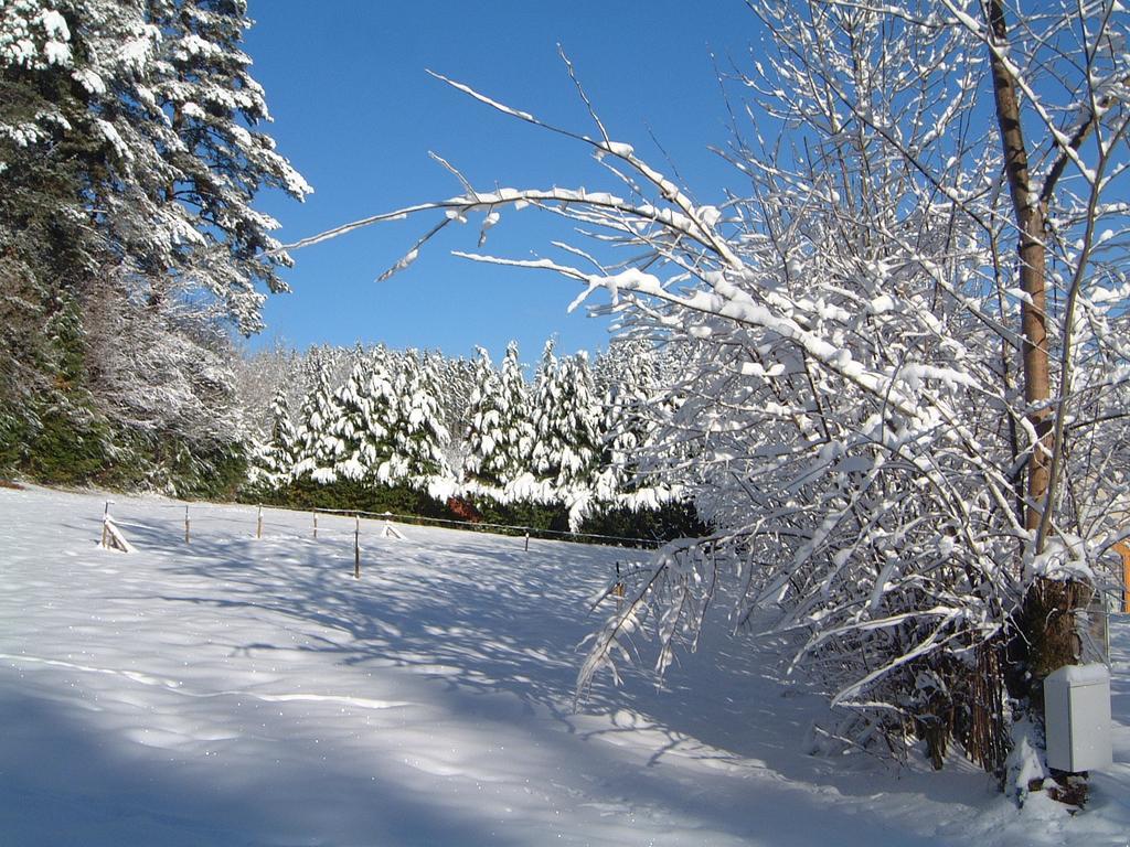 Maison Neuve Grandval ภายนอก รูปภาพ