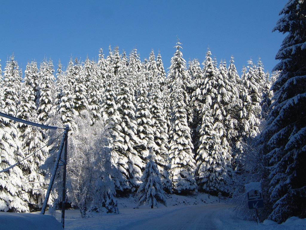 Maison Neuve Grandval ภายนอก รูปภาพ